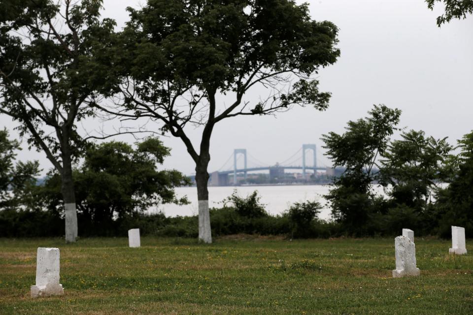 New York's potter's field, cemetery, death