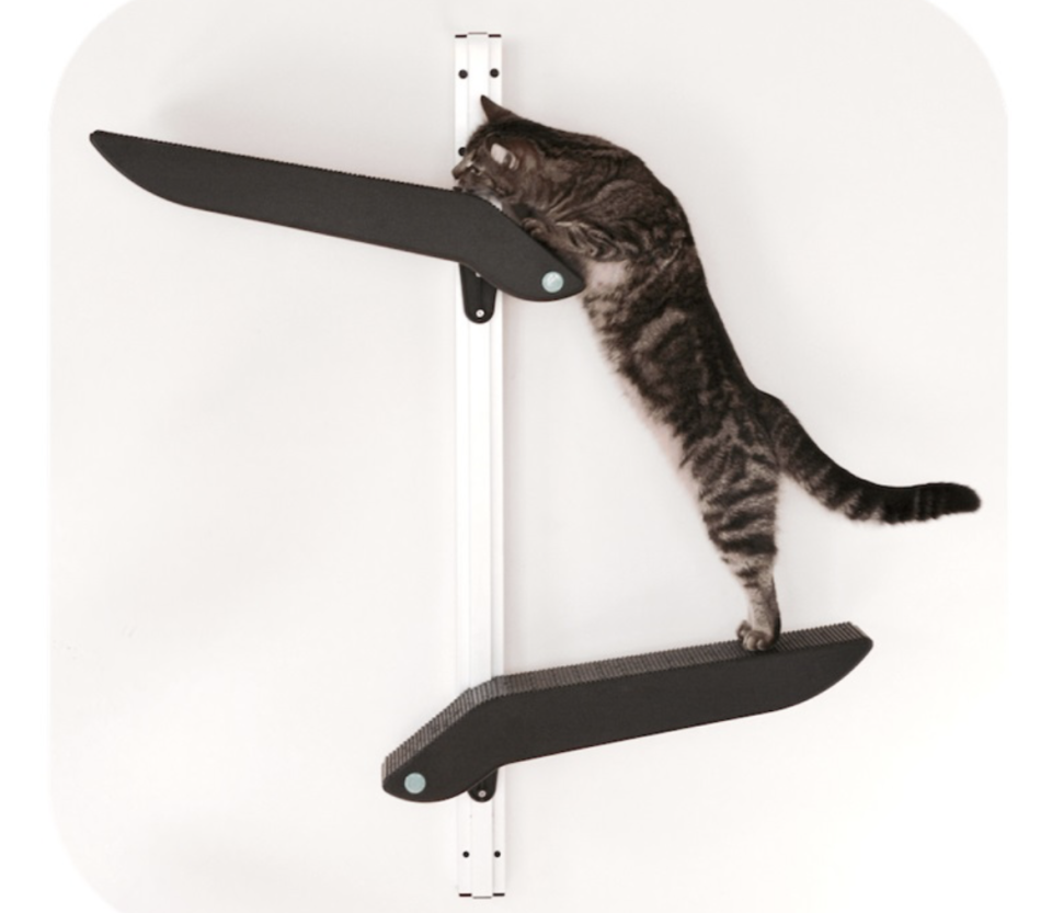 Catipilla Modular Cat Climbing Frame è il set di mensole da attaccare alla parete per permettere al gatto di arrampicarsi e saltare da un piano all’altro. Esistono varie tipologie con set modulari differenti: si parte dallo “Starter Bundle” per gatti alle prime armi e si arriva al “Catipilla Pro”, con quattro moduli montati in verticale per gatti esperti di free climbing. Prezzo: 75 sterline su catipilla.com