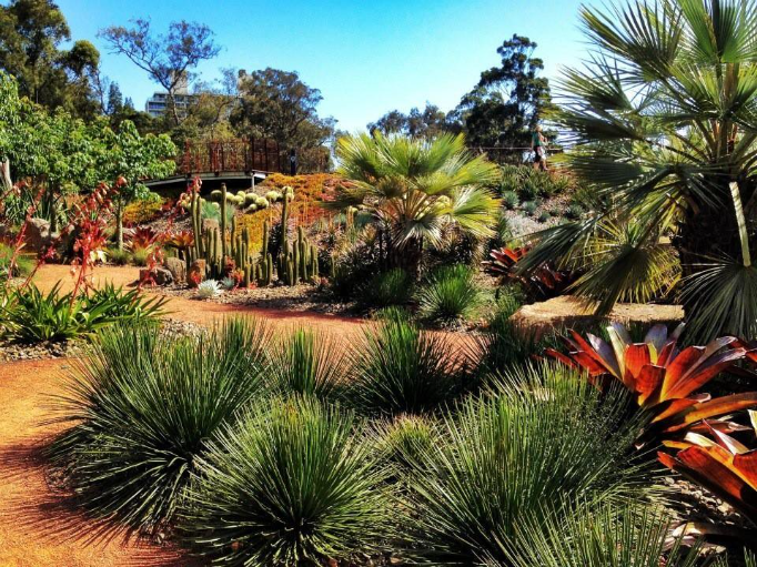 Royal Botanic Gardens, Melbourne, Australia - Located at the south bank of Yarra River is the internationally distinguished Royal Botanic Gardens that are spread across more than a 100 acres of land. The territory encompasses aboriginal heritage walk, a children’s garden, an observatory, and a herbarium discovery walk.