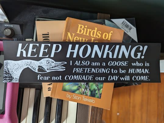 A bumper sticker for any silly goose who hates honking