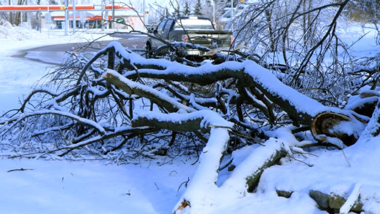 The ice storm that hit parts of Canada last weekend is having lingering effects. Toronto Hydro said Thursday that fresh snowfall is making it more difficult and dangerous for workers to remove tree branches to help get power restored.