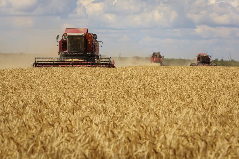 Cosechadoras cosechan trigo en la parte controlada por Rusia de la región de Zaporiyia