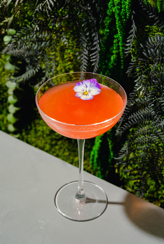 mystic melange campari cocktail