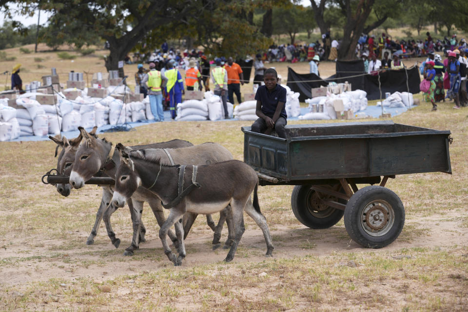FILE - A young boy with a donkey cart arrives to receive food aid in Mangwe district in southwestern Zimbabwe, Friday, March, 22, 2024. Zimbabwe declared a state of disaster Wednesday, April 3, 2024, over a devastating drought that's sweeping across much of southern Africa, with the country’s president saying it needs $2 billion for humanitarian assistance. (AP Photo/Tsvangirayi Mukwazhi, File)