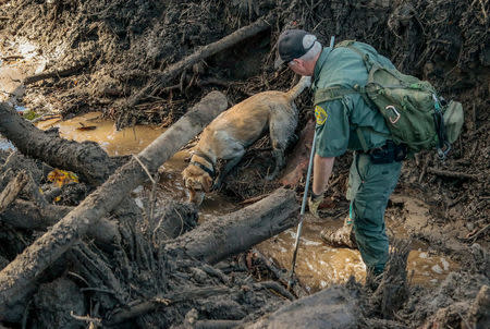 A search and rescue dog is guided through properties after a mudslide in Montecito, California, U.S. January 12, 2018. REUTERS/ Kyle Grillot