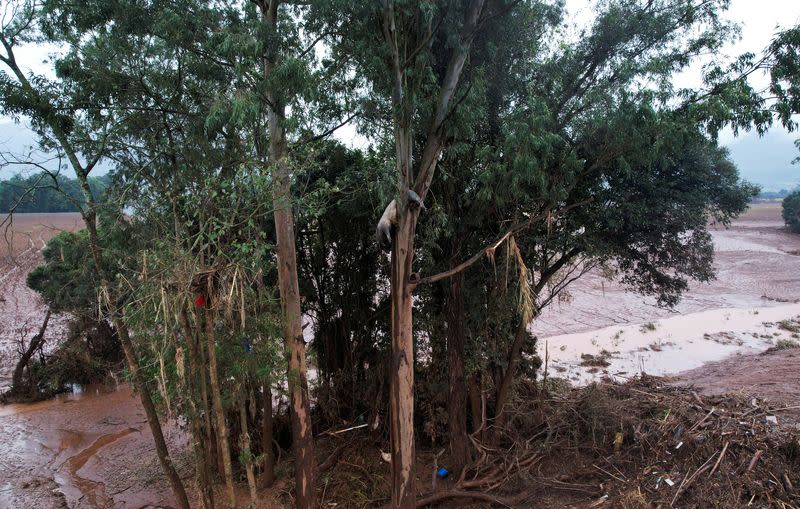 Flooding due to heavy rains in Rio Grande do Sul