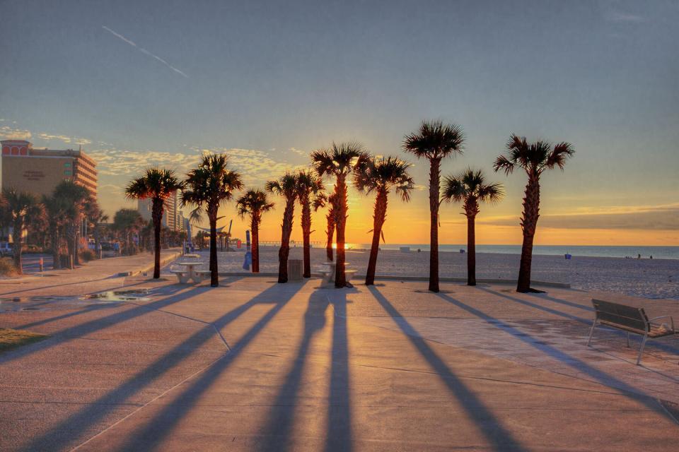 Sunrise behind a row of palm trees Along the beautiful Gulf Shores Beachwalk