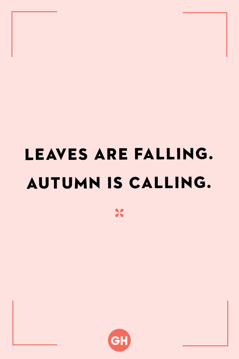 <p>Leaves are falling. Autumn is calling.</p>