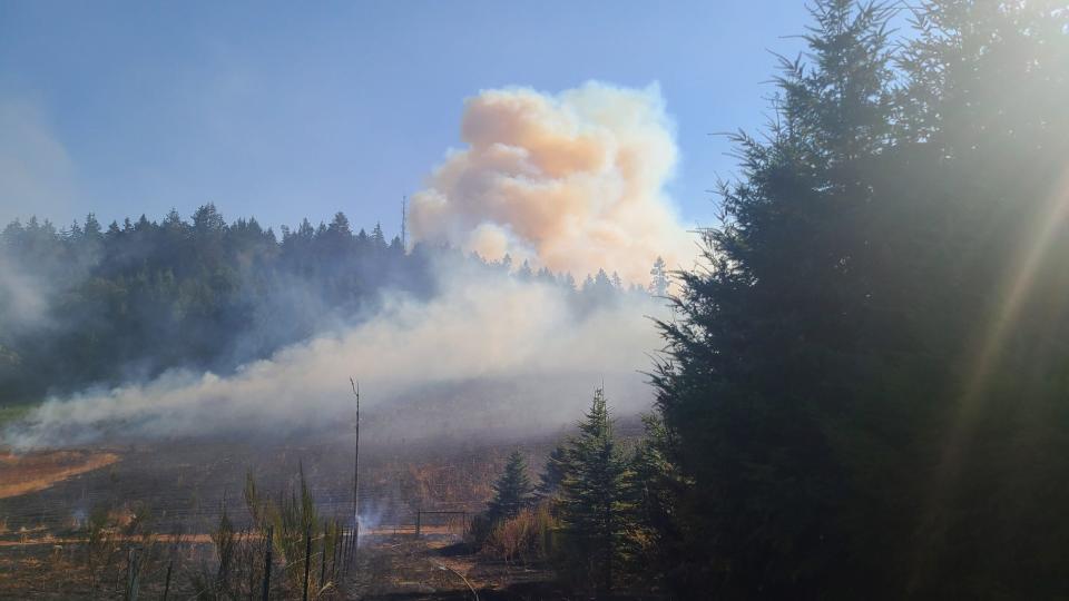 The Vitae Springs brush fire started Sept. 9, 2022 and burned 167 acres in the South Salem hills.