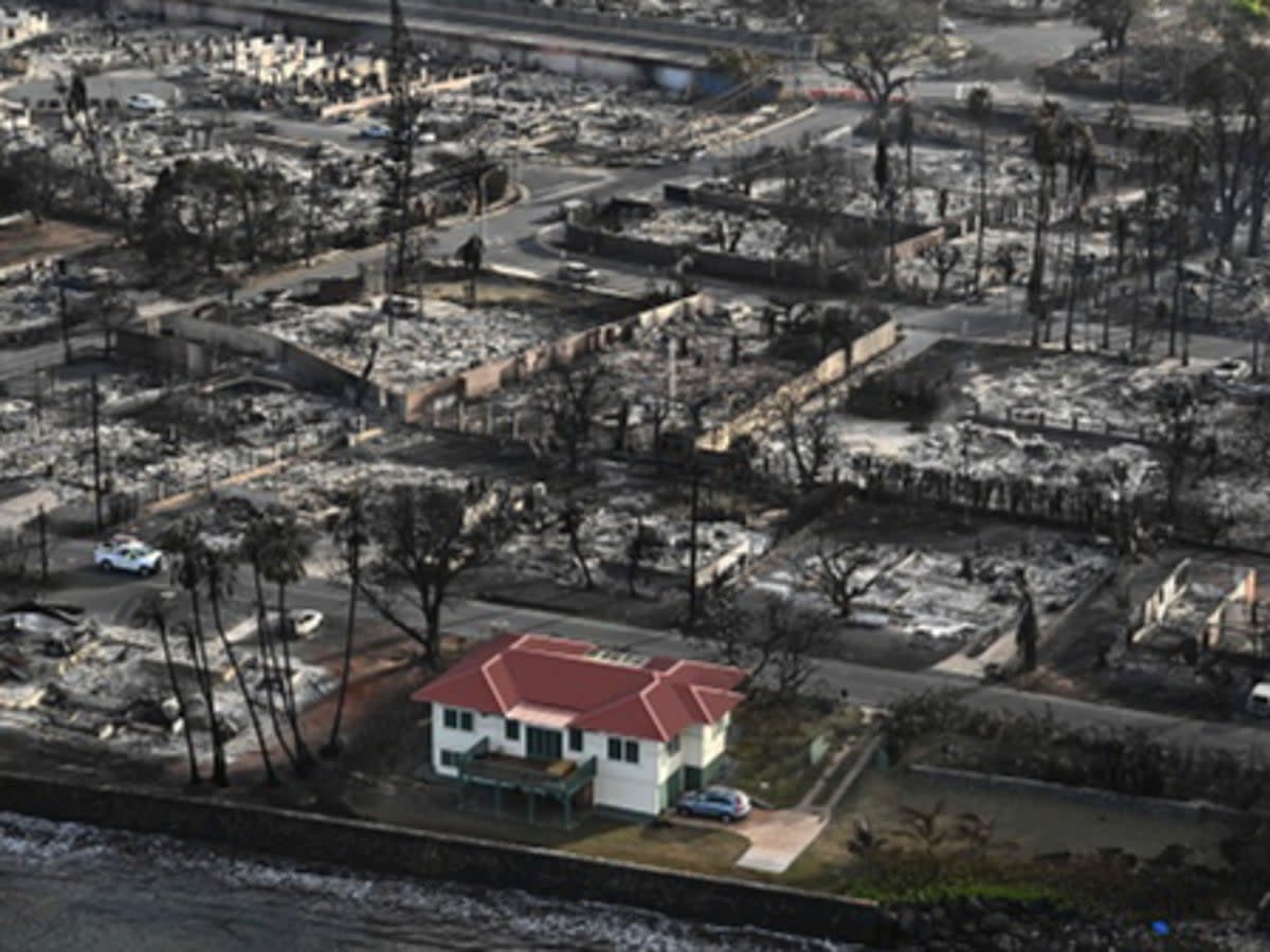 The red-roofed house on Front Street in the historic Hawaiian town of Lahaina was spared during deadly wildfires earlier this month  (AFP via Getty Images)