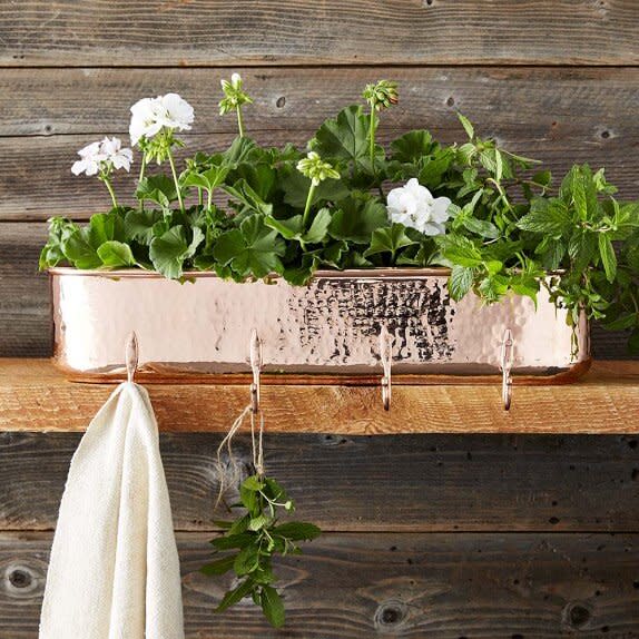 Wall planter