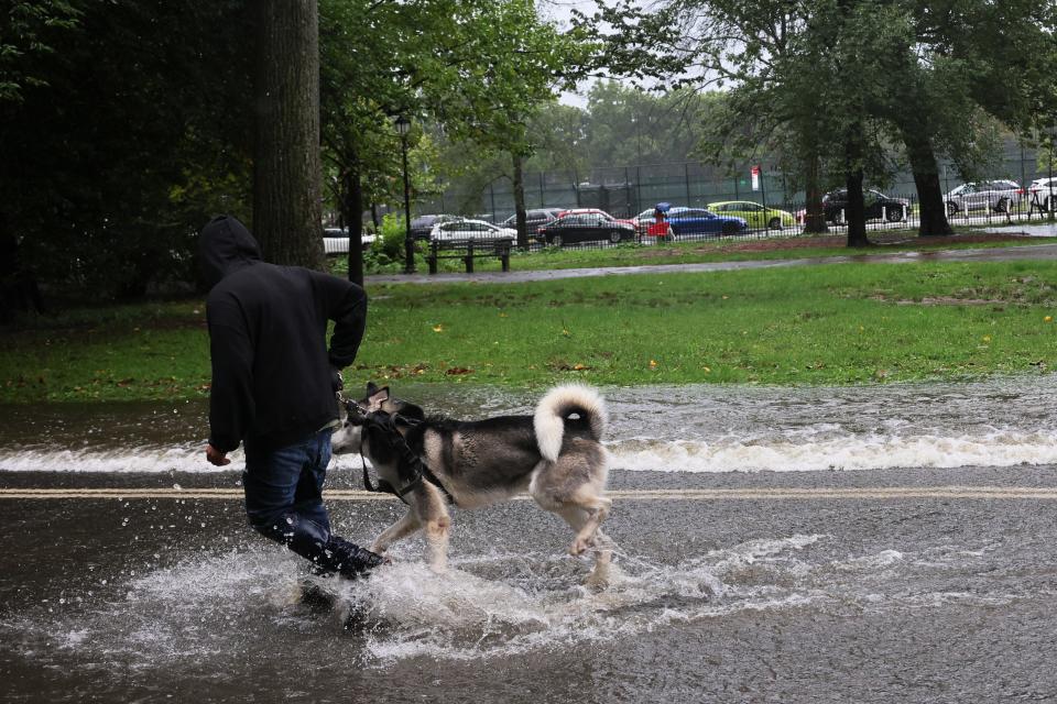 A person walks their dog inside of Prospect Park amid a coastal storm on Sept. 29, 2023 in the Flatbush neighborhood of Brooklyn borough New York City. Flash flooding is expected in the counties of Nassau, Queens and Kings, which includes Brooklyn, according to the state’s National Weather Service office as remnants of Tropical Storm Ophelia reaches the Northeast. Gov. Kathy Hochul has declared a state of emergency for the NYC area.