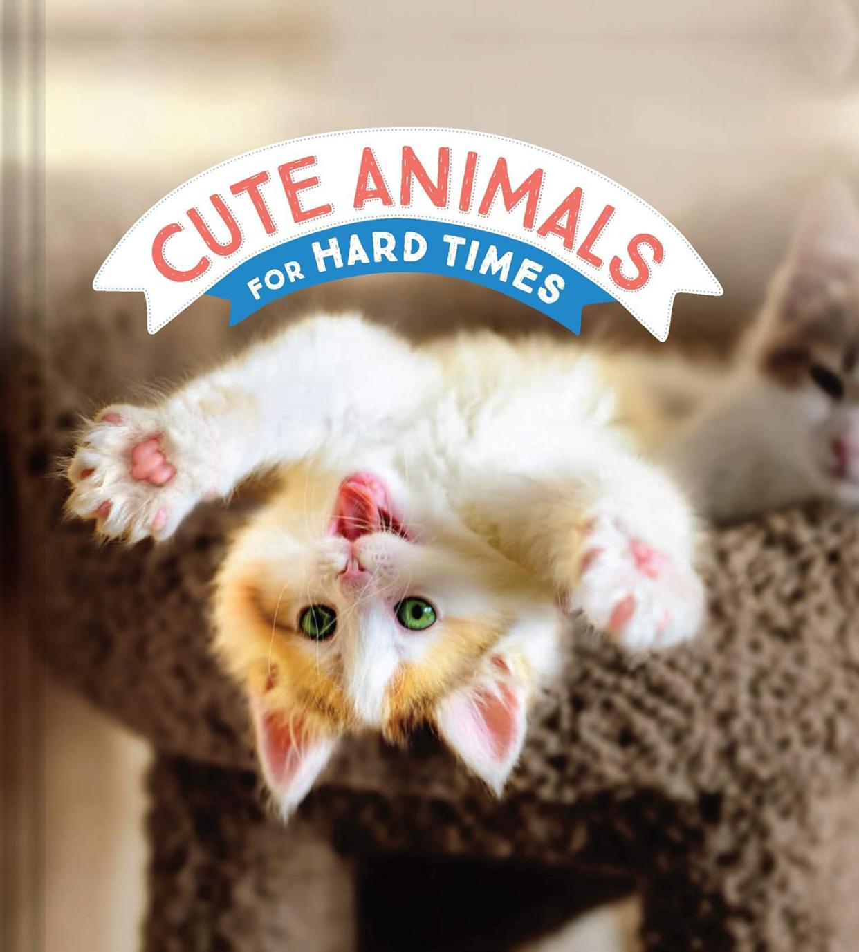 Cute Animals for Hard Times By Chronicle Books