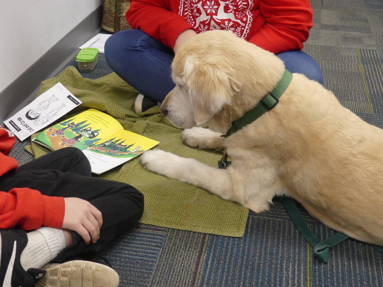 Takeo the therapy dog listens to many different stories each week as participants get to choose whatever book they want within their reading level.