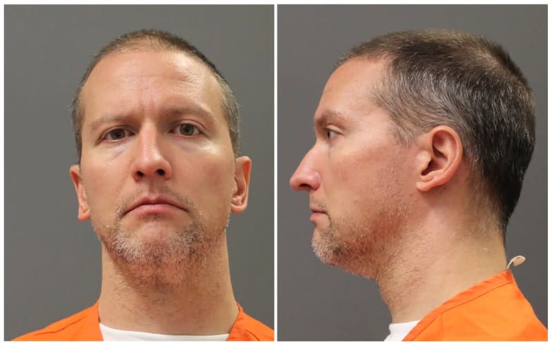Former Minnesota police officer Derek Chauvin poses for a booking photograph