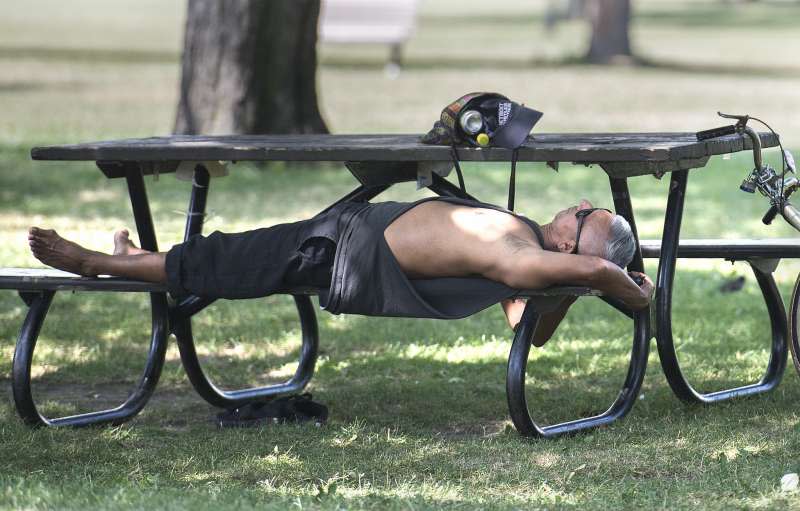 今年夏天，熱浪侵襲加拿大魁北克省；7月5日，魁北克省蒙特婁一名男子躲在樹蔭下休息（AP）