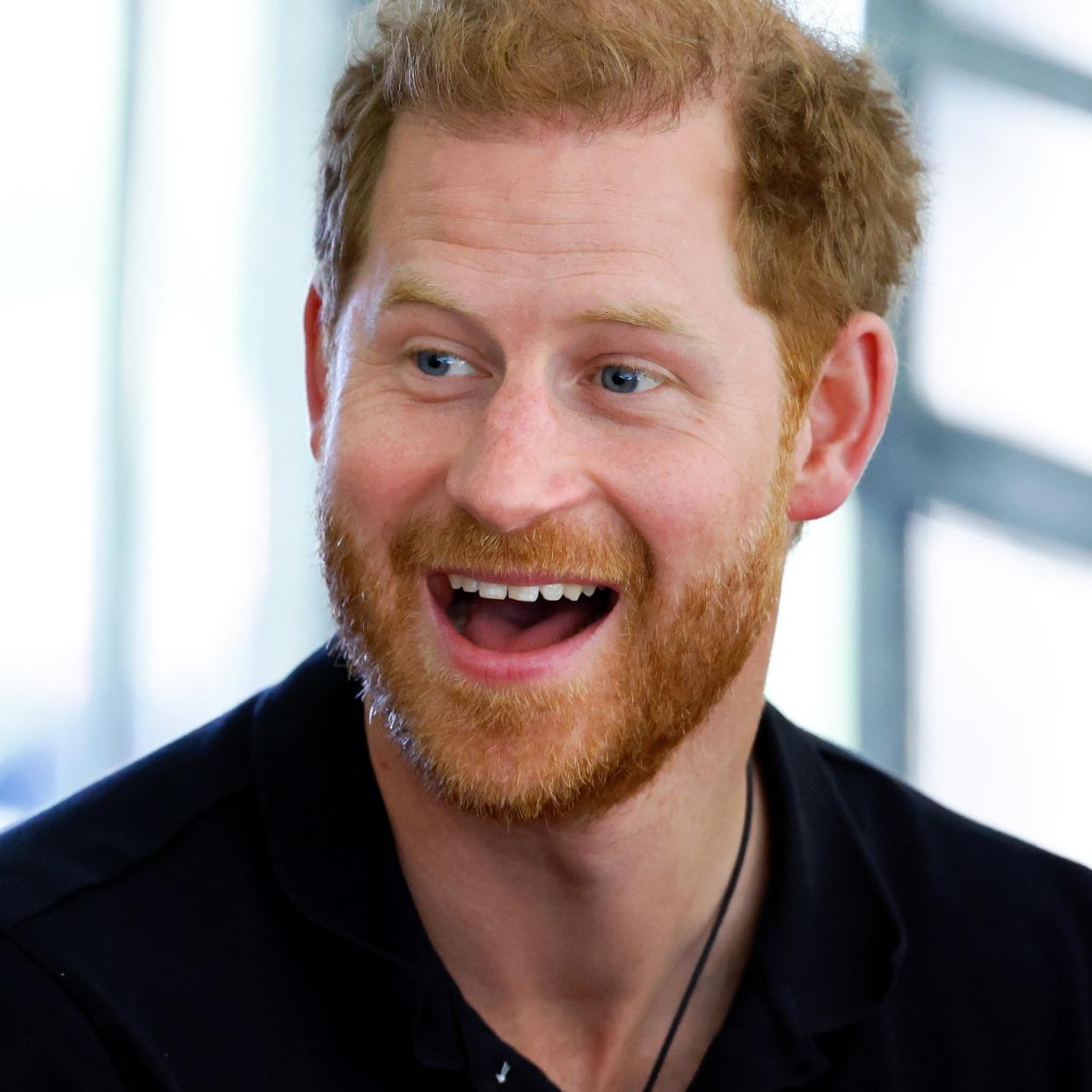  Prince Harry 