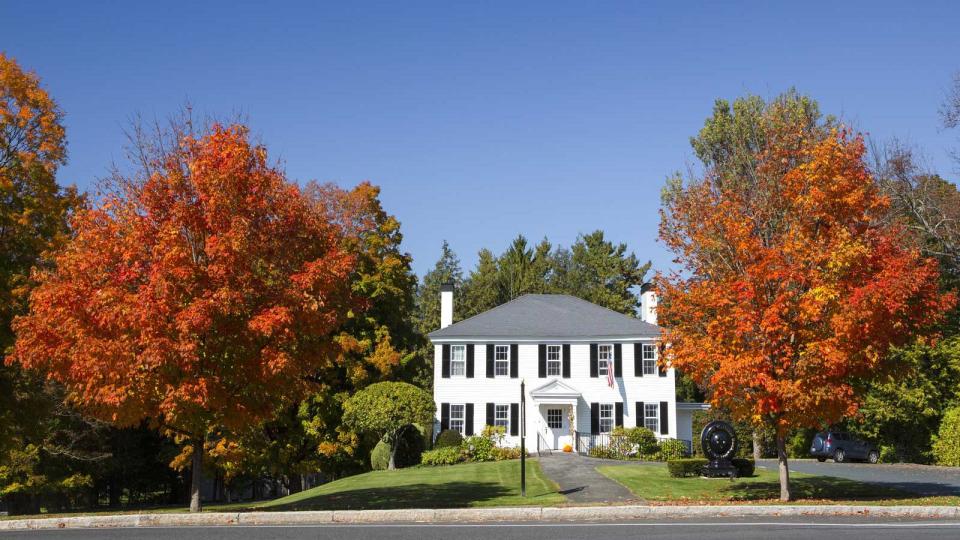 Autumn Trees in Lenox, Massachusetts