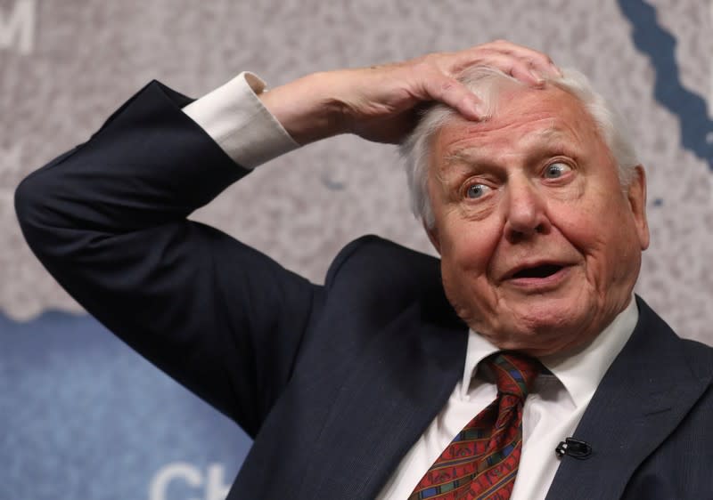 David Attenborough accepts the annual Chatham House award in London