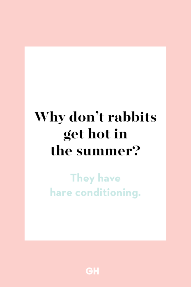 80+ Hare-Raisingly Bunny Puns That Will Crack You Up