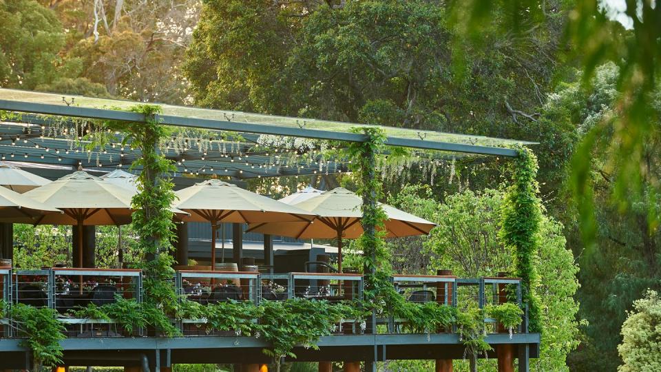 leeuwin wine estate's restaurant margaret river western australia wine tourism