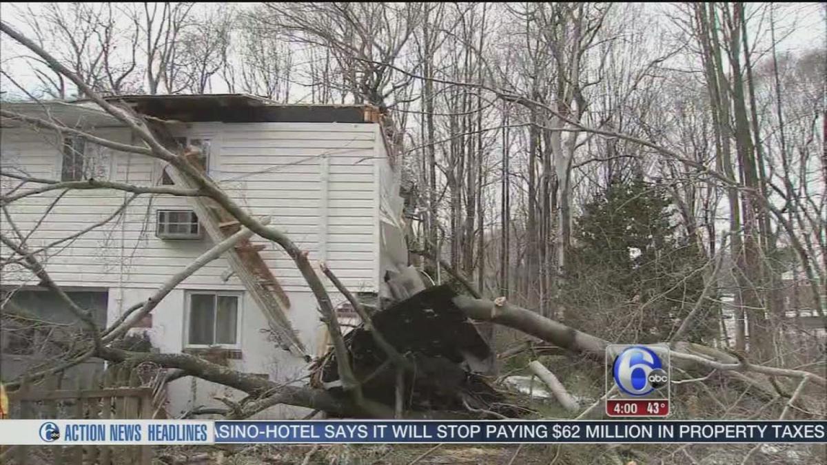 Woman killed, man rescued after tree falls on home in Broomall