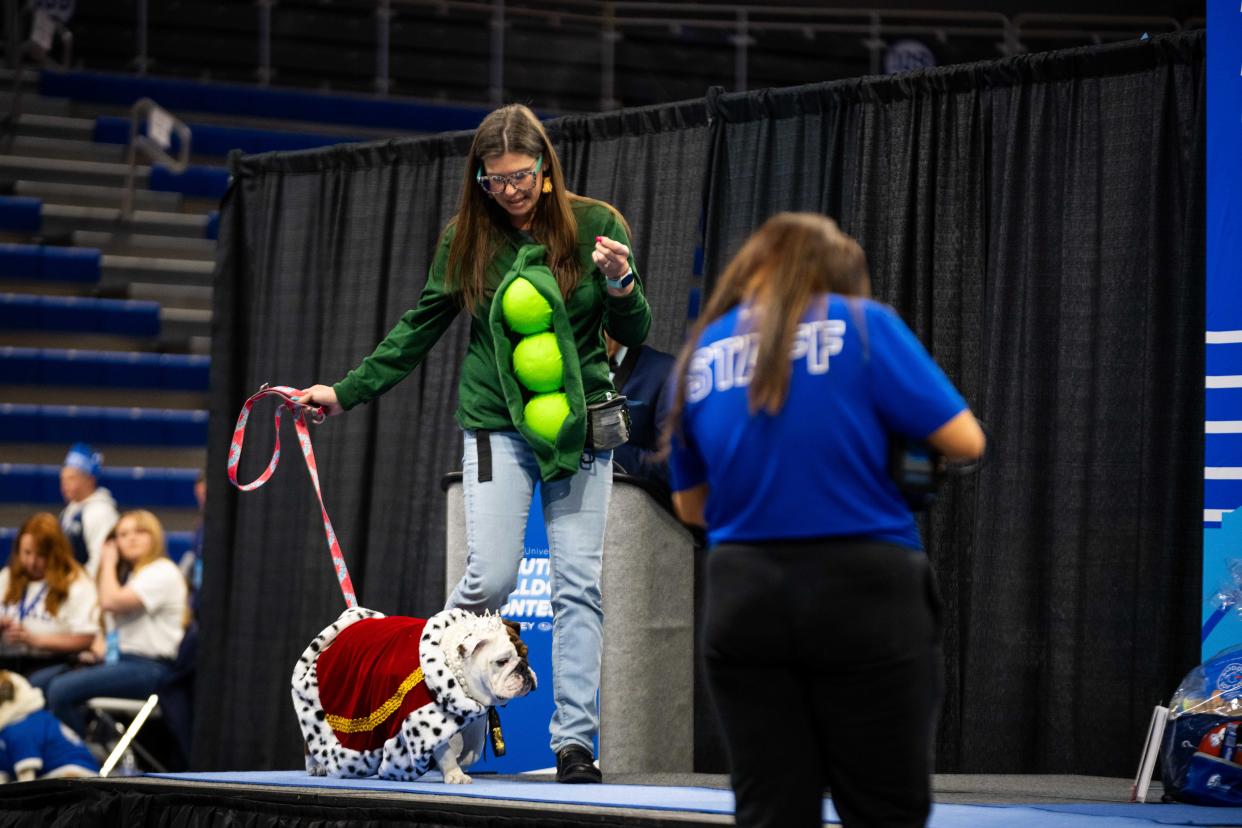 Pumpkin the bulldog walks down the stage during the 45th annual Beautiful Bulldog Contest Sunday, April 21, 2024, at the Knapp Center in Des Moines.