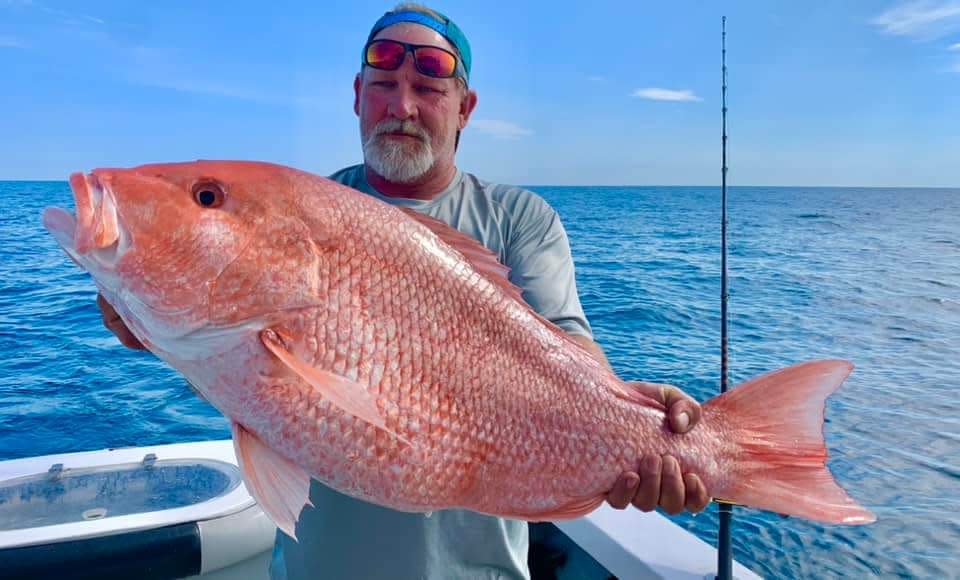 The prized red snapper.
