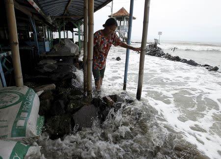 A villager walks on a stone barrier as sea water reaches her house in Mayangan village in Subang, Indonesia's West Java province, in this July 16, 2010 file photo. REUTERS/Beawiharta