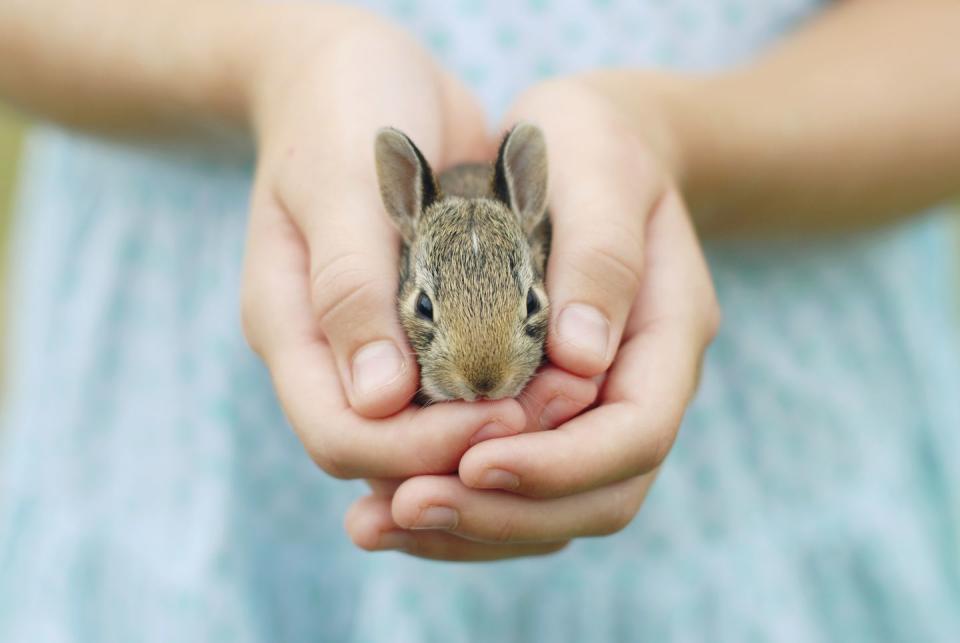 Photo credit: Charla Anne - Getty Images