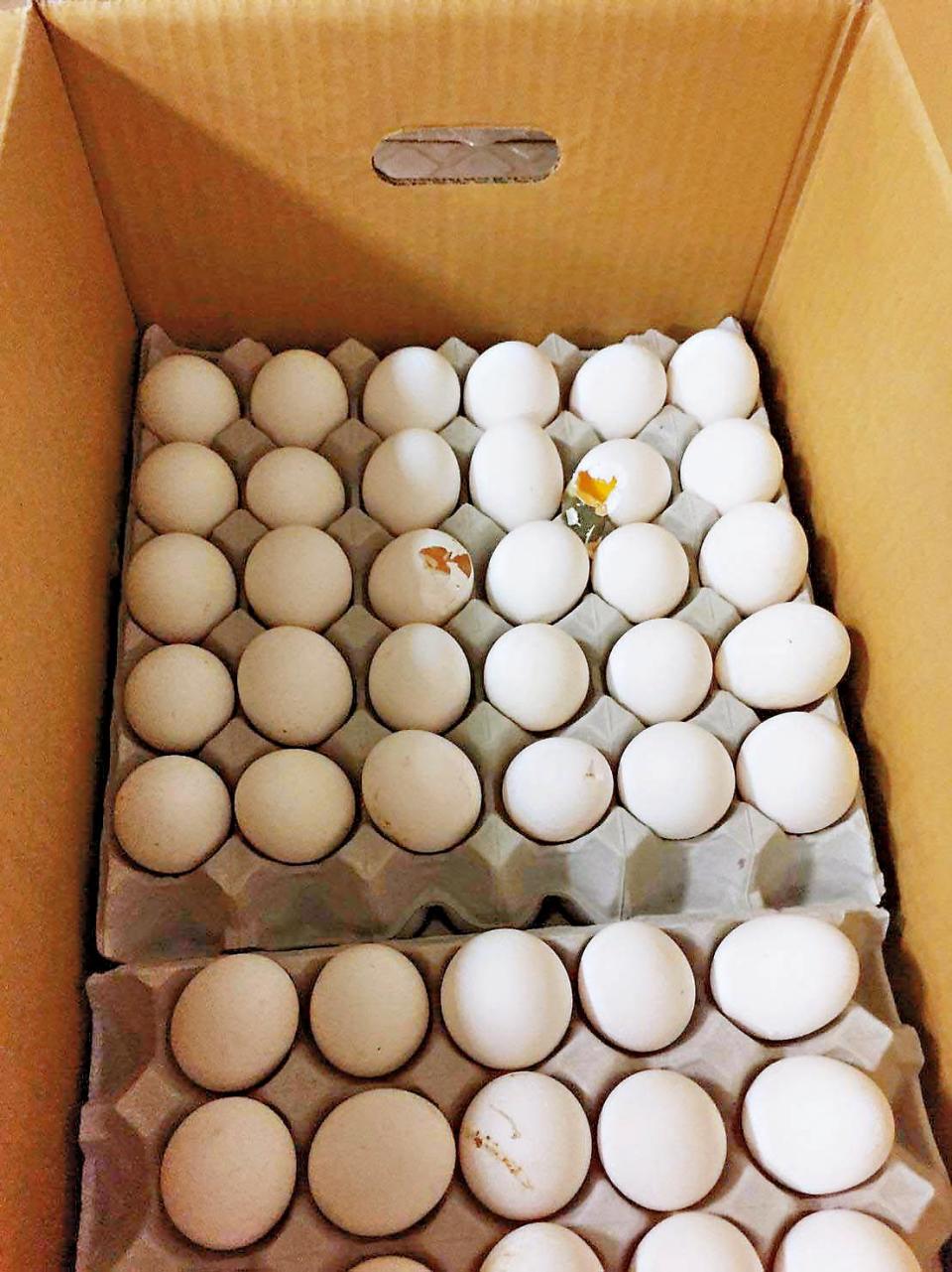華成公司代理的雞蛋，在副供站被發現蛋殼破損、不新鮮。