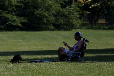 A man sits under the shade with a dog during hot weather in Central Park in Manhattan, New York, U.S., June 18, 2018. REUTERS/Shannon Stapleton