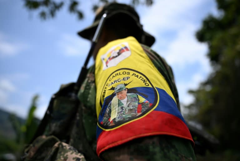 Un membre du Front Carlos Patino, faction de la dissidence des Farc, près de champs de coca dans le canyon del Micay, dans le département du Cauca, le 24 mars 2024 en Colombie (Raul ARBOLEDA)