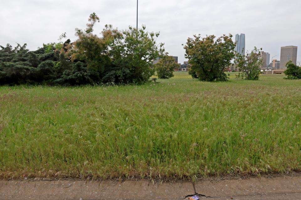 The downtown skyline can be seen through the overgrown bushes, high weeds and dead trees lining the NE 5 exit from Interstate 235.