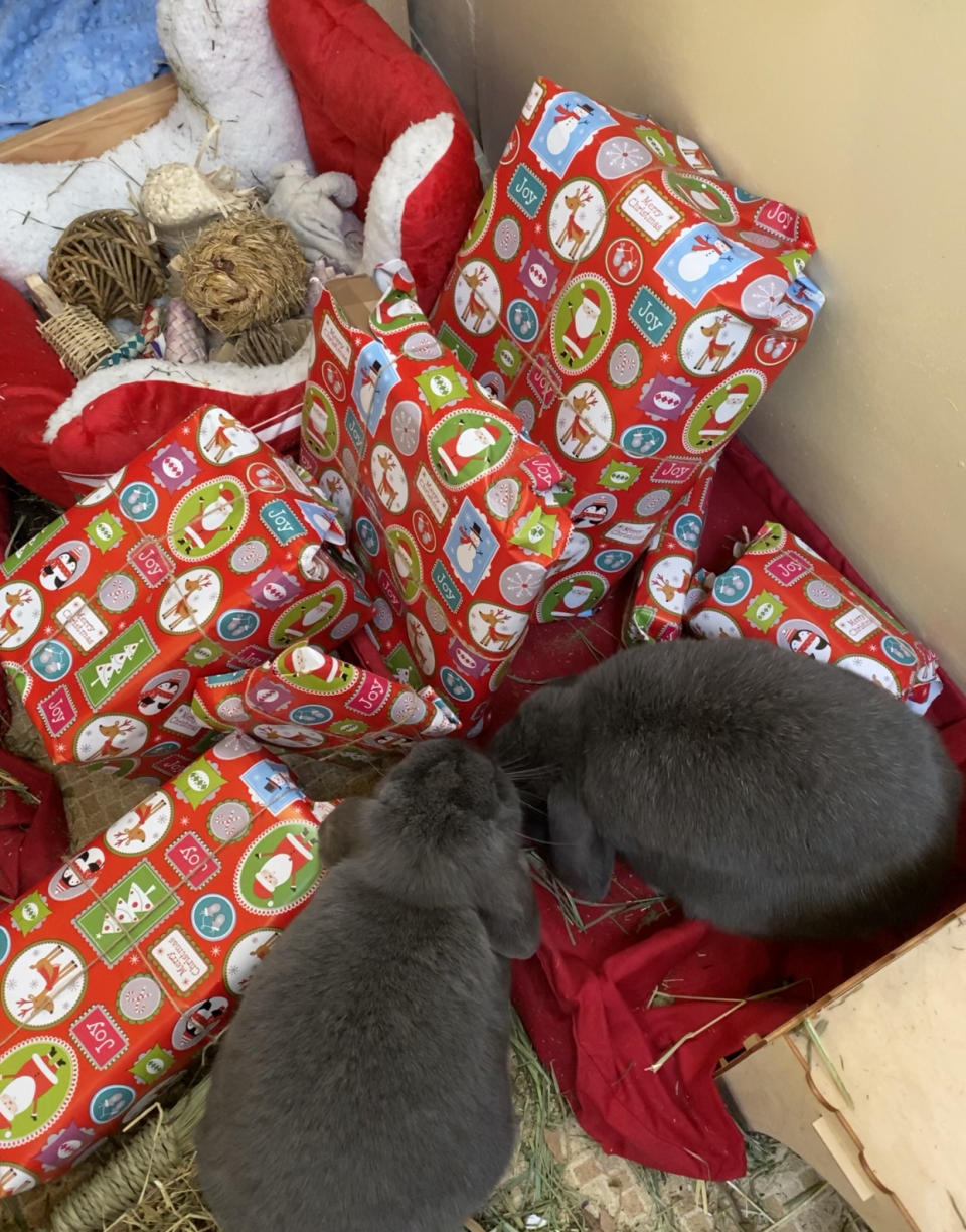 Sharon wraps up small Christmas gifts for Pippin and Poppy (Collect/PA Real Life)