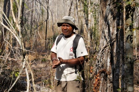 Anselme Toto Volahy, Project Manager for the Durrell Wildlife Conservation Trust Menabe programme is seen in a burned forest inside the Menabe Antimena protected area near the city of Morondava