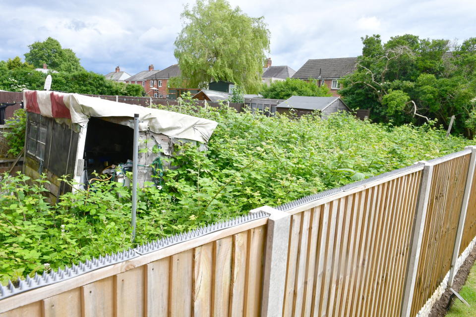 The garden is at the back of a house where an 80-year-old couple reportedly lives.  (SWNS)