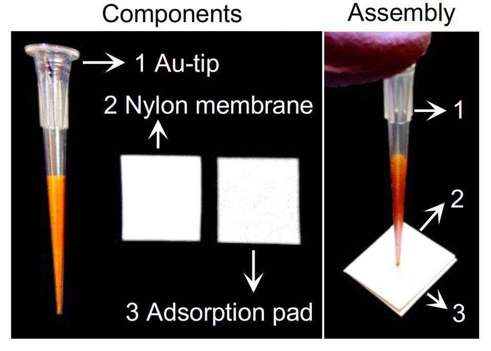 Shown are the components of the McMaster University researchers' rapid salmonella test.  (Provided by Yingfu Li)