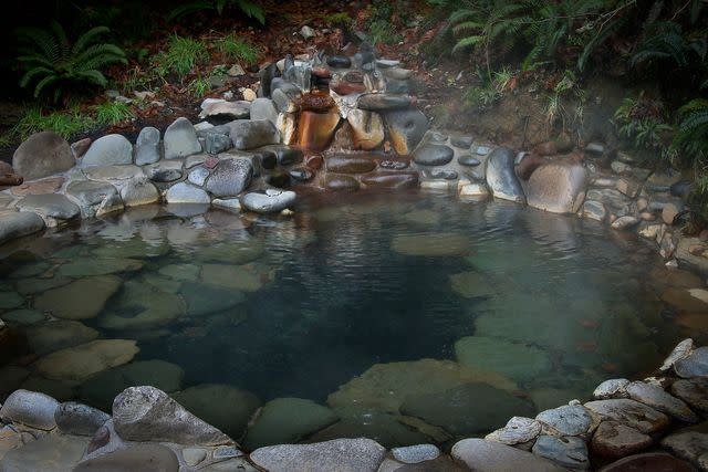 <p>Courtesy of Breitenbush Hot Springs</p>