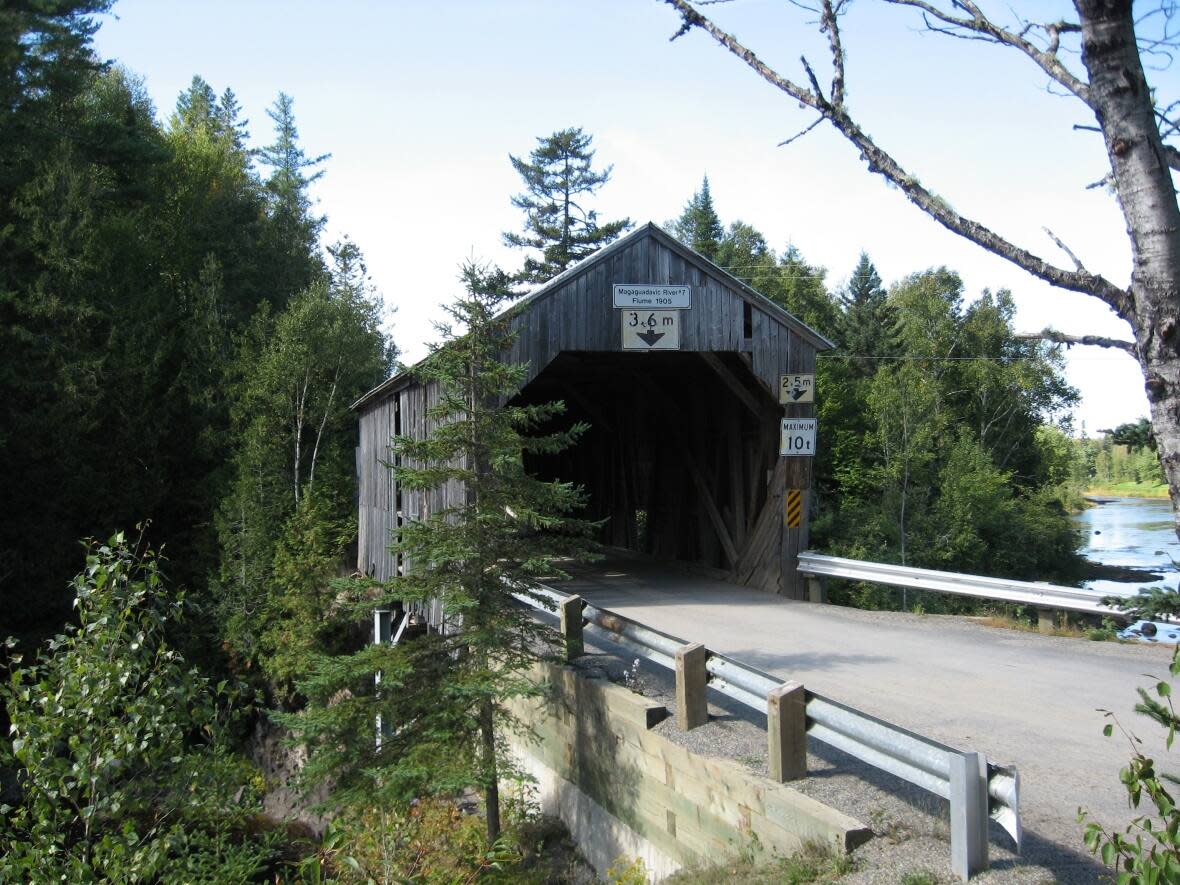 Flume Ridge covered bridge is one of the bridges featured in the new Charlotte County covered bridge brochure from the Covered Bridges Conservation Association of New Brunswick. (Ray Boucher - image credit)