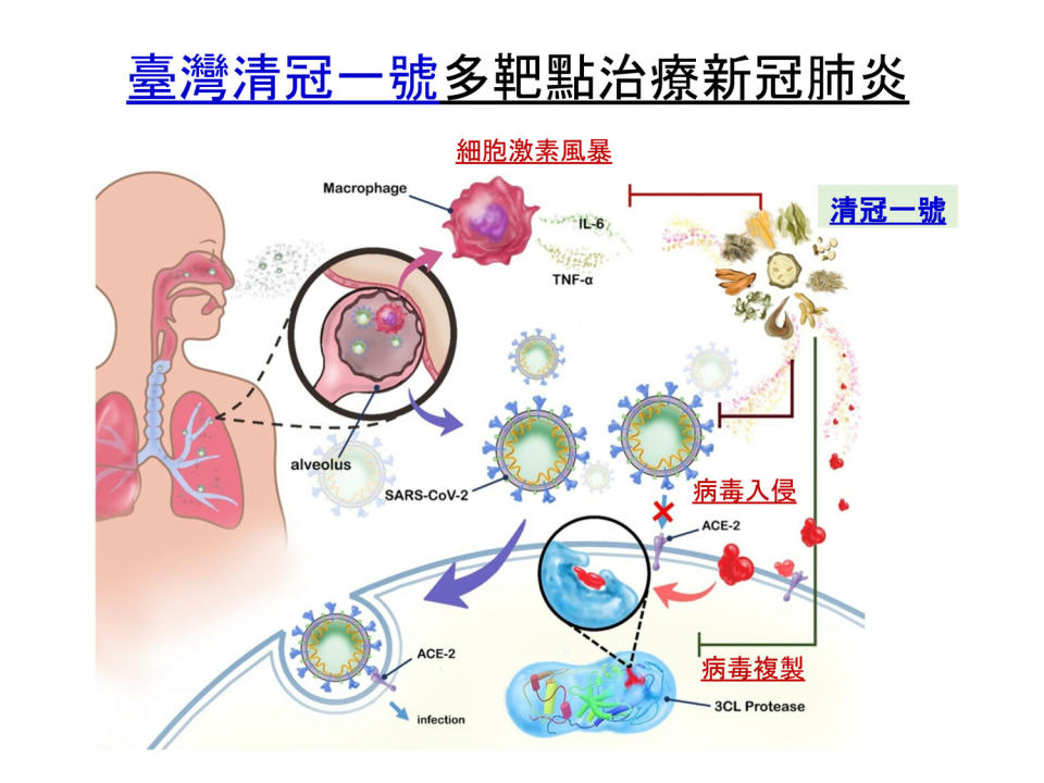 台灣清冠1號效能說明   圖：中央流行疫情指揮中心/提供