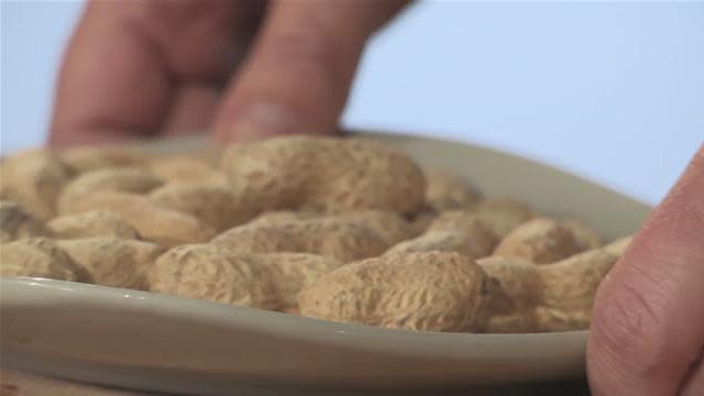 A cure for peanut allergies?