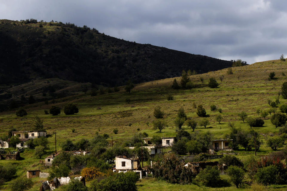 The abandoned village of Varisia is seen inside the U.N controlled buffer zone that divide the Greek, south, and the Turkish, north, Cypriot areas since the 1974 Turkish invasion, Cyprus, on Friday, March 26, 2021. Cyprus' endangered Mouflon sheep is one of many rare plant and animal species that have flourished a inside U.N. buffer zone that cuts across the ethnically cleaved Mediterranean island nation. Devoid of humans since a 1974 war that spawned the country’s division, this no-man's land has become an unofficial wildlife reserve. (AP Photo/Petros Karadjias)