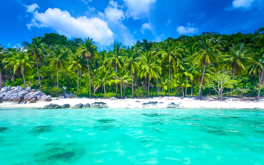 The turquoise beach coast of Koh Samui - Volodymyr Goinyk