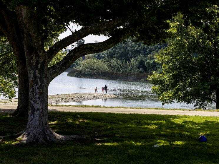 South El Monte, CA - May 27: People take a close-up and scenic view of Legg Lake amidst pleasant weather on the Memorial Day Weekend at Whittier Narrows Recreation Area in South El Monte Saturday, May 27, 2023. (Allen J. Schaben / Los Angeles Times)