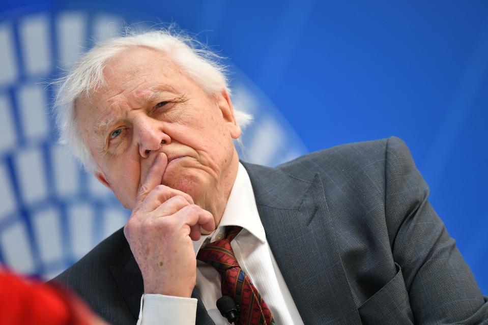 Sir David Attenborough warns of ‘man-made disaster on global scale’ in climate change film