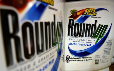 Bottles of Roundup herbicide, a product of Monsanto - Credit:  Jeff Roberson/AP