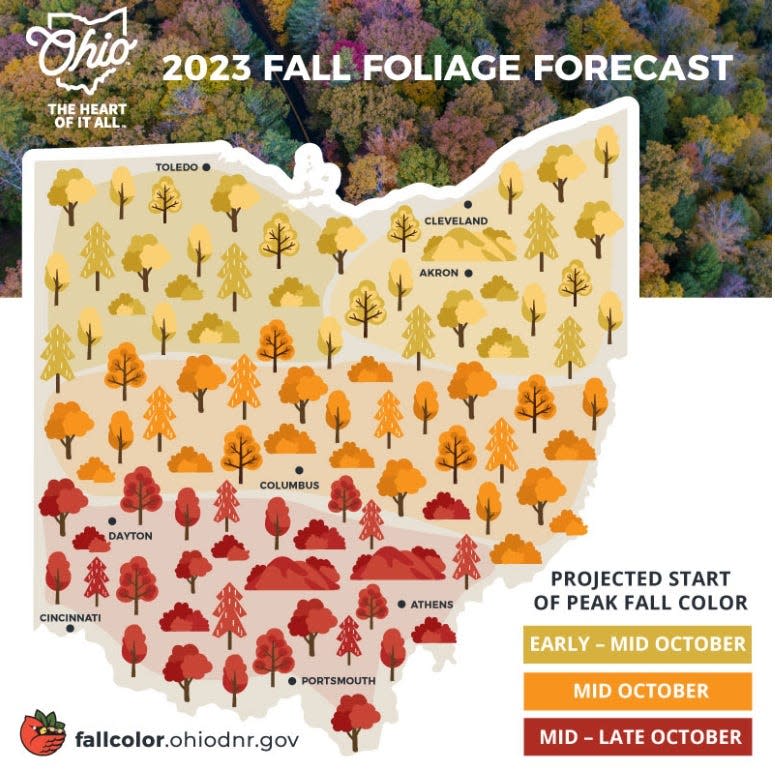 The Ohio Department of Natural Resources has released its fall peak colors forecast.