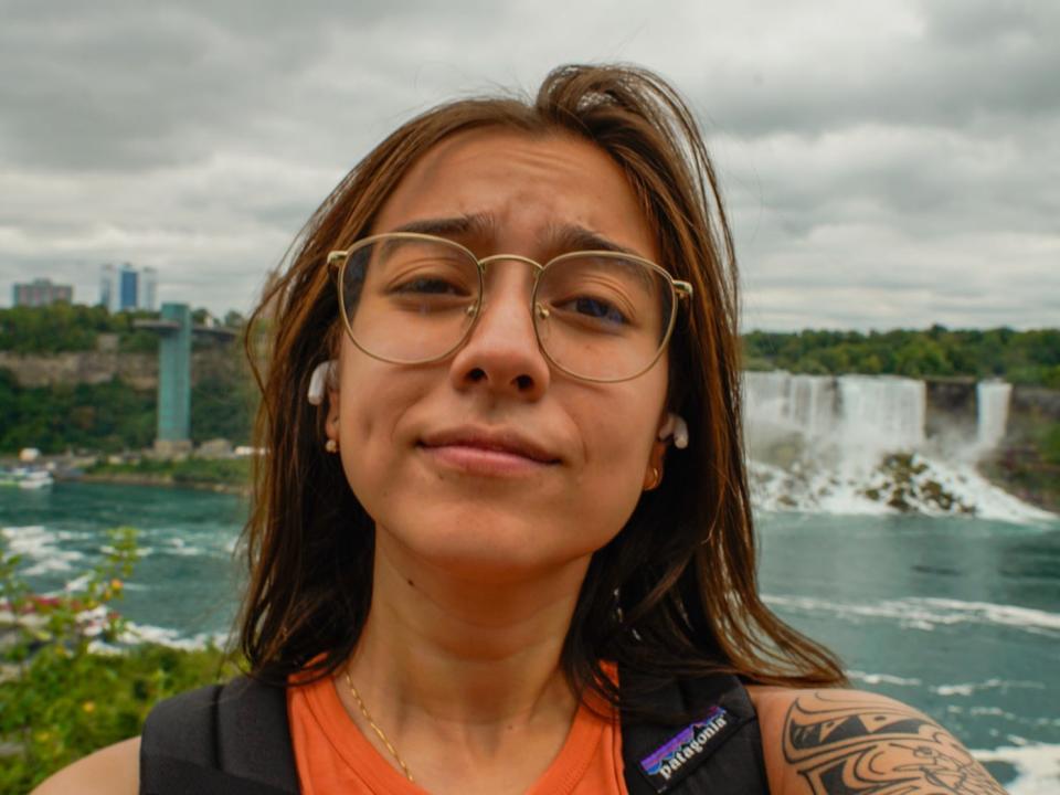 The author views Niagara Falls from two different places