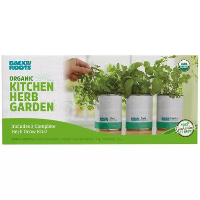 An herb garden set